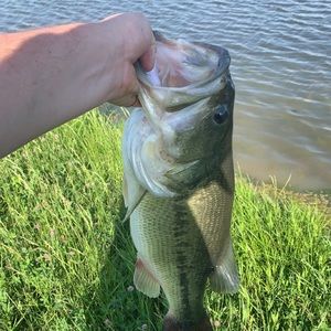 Meet your Posher, Aiden